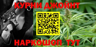 дживик Можга