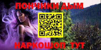 дживик Можга