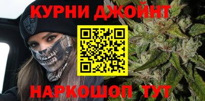 дживик Можга
